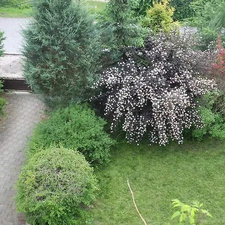 Casa de hóspedes U Dolanských Český Krumlov