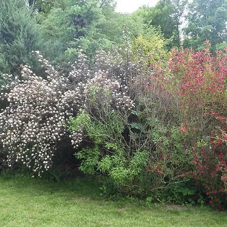 U Dolanských Casa de hóspedes 3*