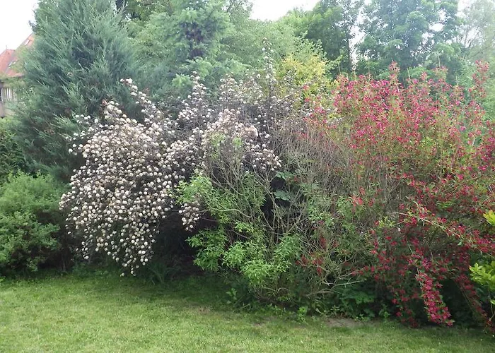 U Dolanských Casa de hóspedes 3*